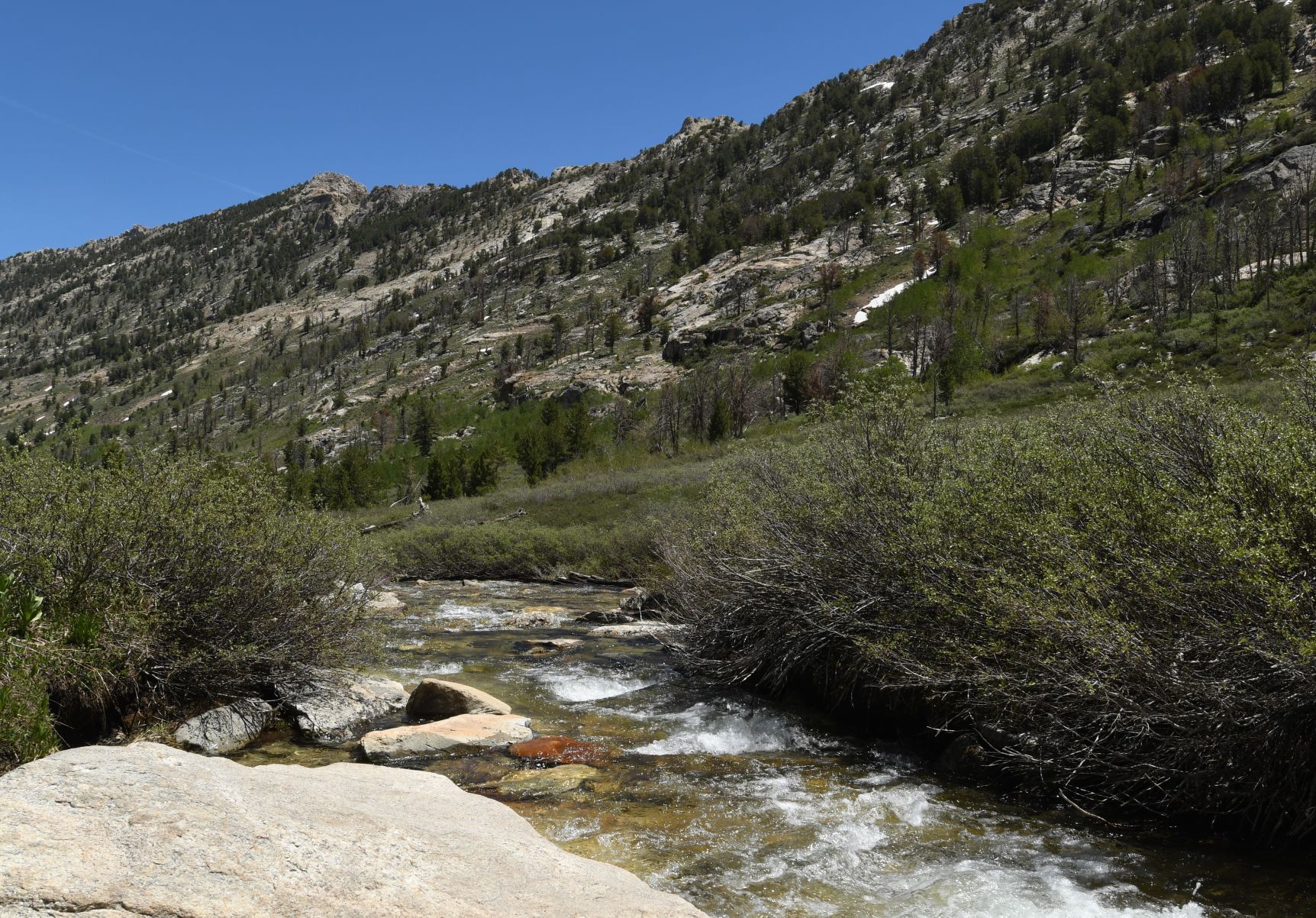 Lamoille Creek